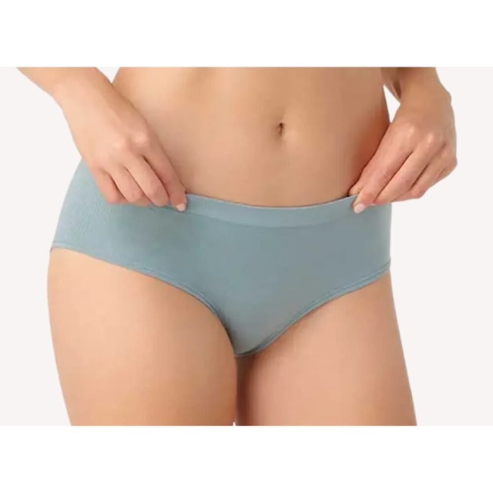 Smartwool Women's Lead Intraknit Hipster Panties Size M